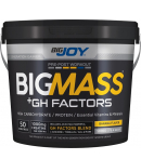 Bigjoy BigMass +Gh Factors Muz